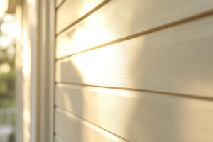 Pros and Cons of Vinyl Siding in Omaha