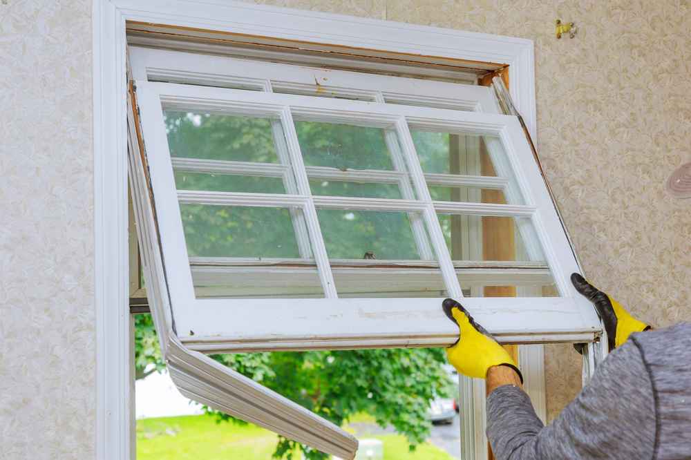 trusted window expert in Nebraska